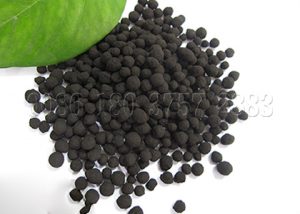 Organic Fertilizer from Cow Manure